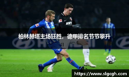 快盈viii