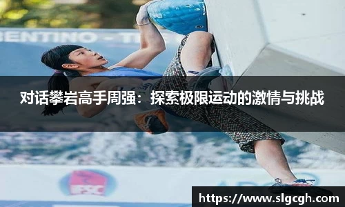 快盈VIII