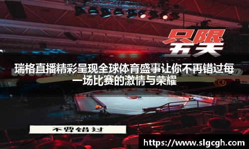 快盈VIII