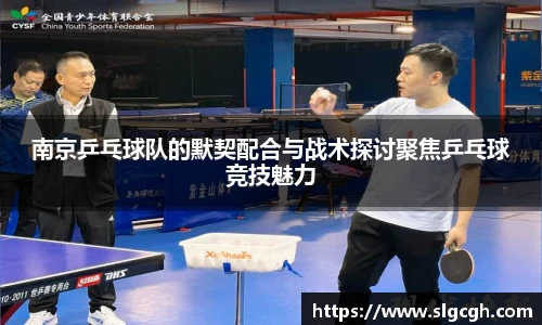 南京乒乓球队的默契配合与战术探讨聚焦乒乓球竞技魅力