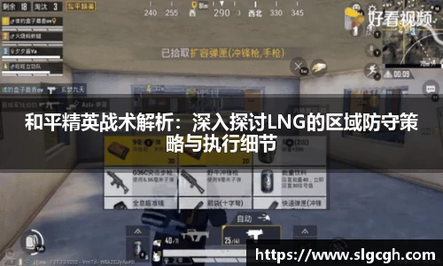 和平精英战术解析：深入探讨LNG的区域防守策略与执行细节