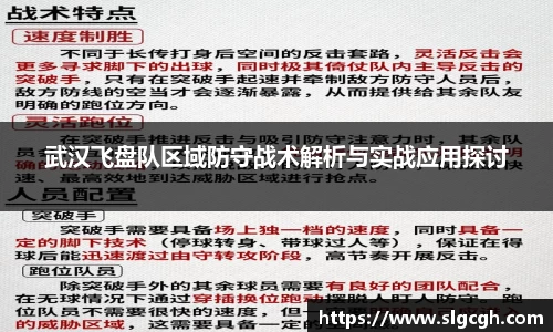 快盈viii