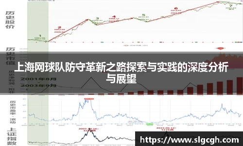 快盈viii