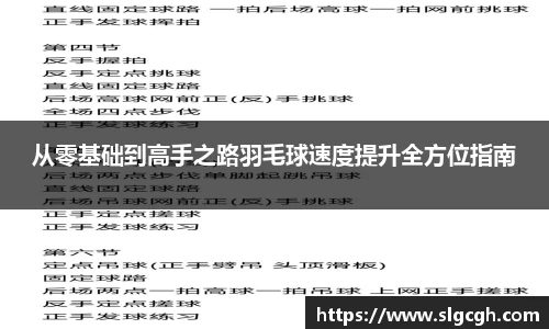 快盈VIII