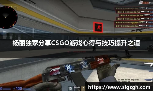 快盈VIII