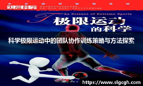 快盈VIII体育