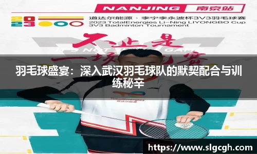 快盈viii