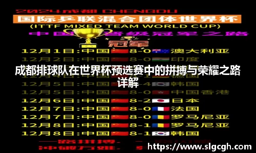 快盈viii
