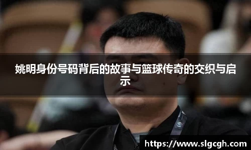 快盈VIII