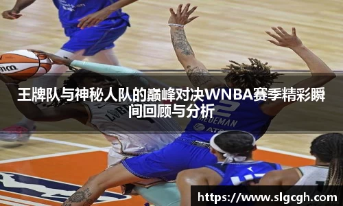 快盈VIII体育
