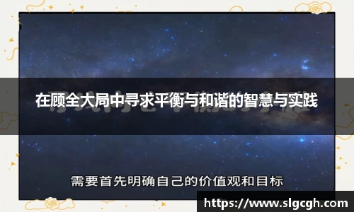在顾全大局中寻求平衡与和谐的智慧与实践
