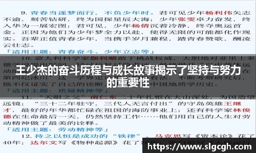 快盈VIII