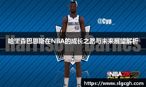 DB电竞平台